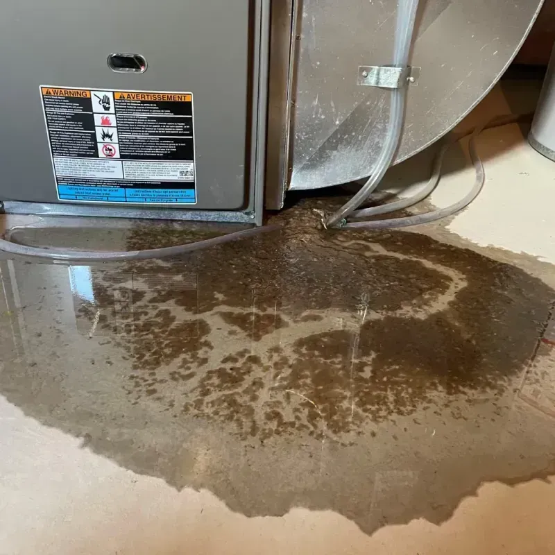 Appliance Leak Cleanup in Taylorsville, MS